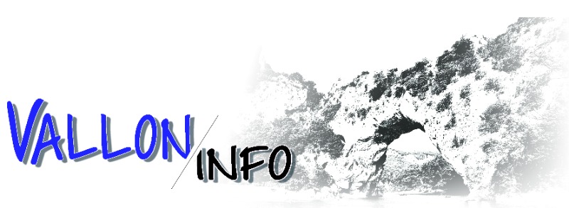 Les "Vallon Info"